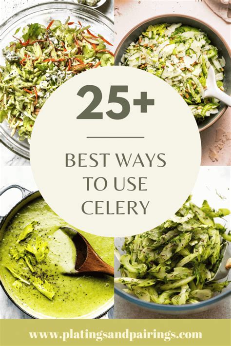 Great Celery Recipes
