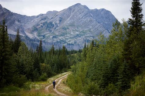 great divide mountain bike trail