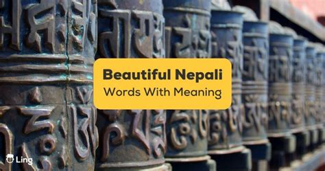 great meaning in nepali