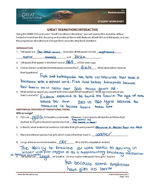 Great Transitions Interactive Worksheet Answer Key