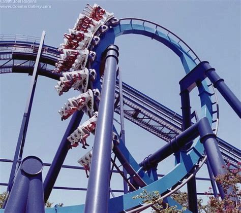 great white roller coaster