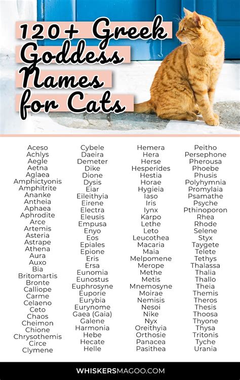 greek god names for cats male