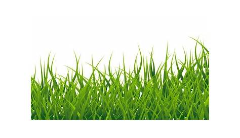 Green grass background clipart 20 free Cliparts | Download images on