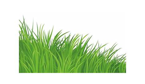 Download High Quality grass clipart green Transparent PNG Images - Art