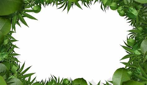 Leaf Frame Border PNG Image - PNG All | PNG All