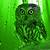 green owl wallpaper