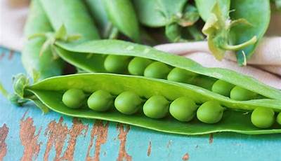 Green Pea Variety List