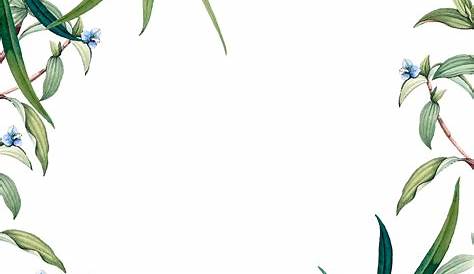 Watercolor green plant border vector material png image_picture free