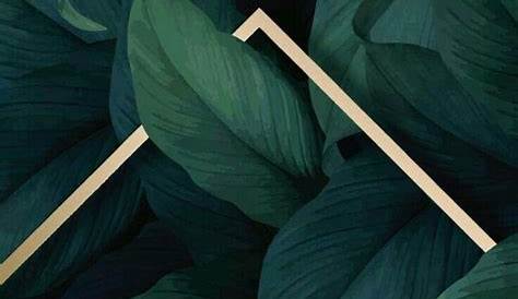 Green Plants Wallpaper Tumblr On