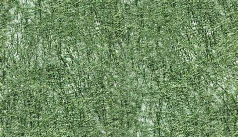 Green Sisal Fabric 7 Yards Upholstery / Grasscloth /