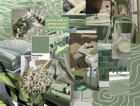 Get Refreshingly Green Aesthetic Backgrounds for Your Creative Projects