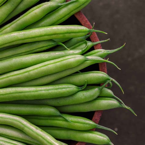 Green Bean Images
