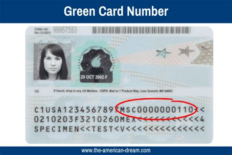 green card number location