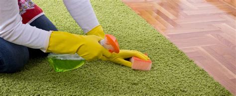 green carpet cleaning monterey ca
