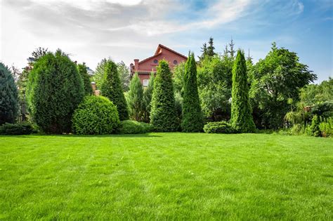 green carpet lawns royse city tx