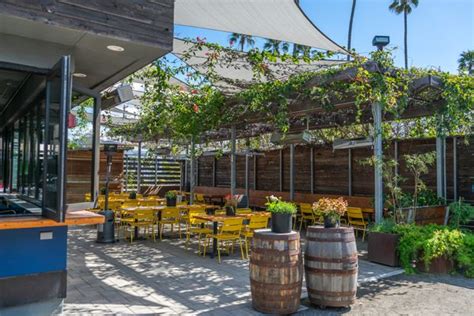 green cheek oceanside