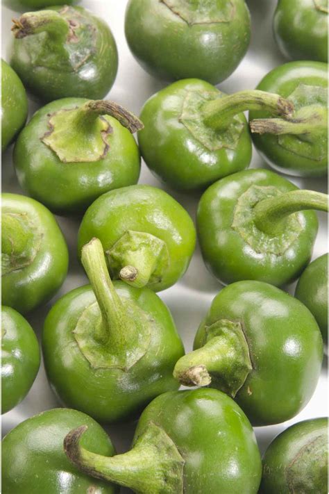 Green Cherry Peppers
