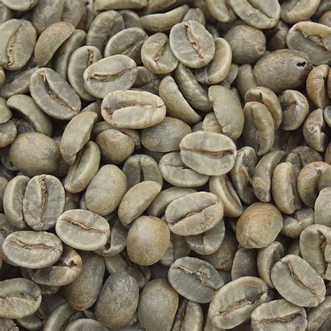 green coffee bean corral