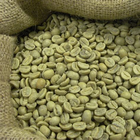 green coffee beans bulk