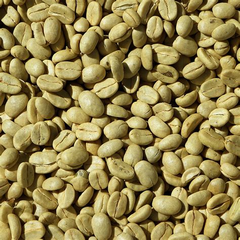green coffee beans mexico