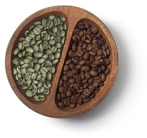 green coffee beans nz