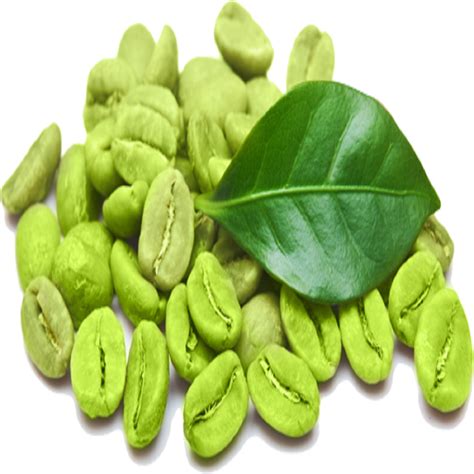 green coffee beans organic