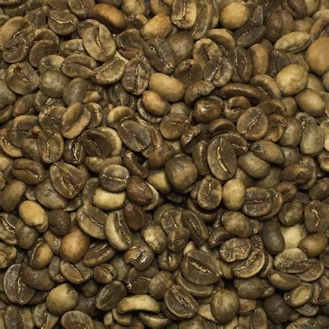 green colombian coffee beans
