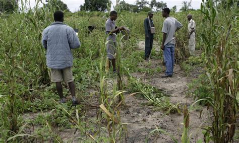 Green Crisp Farming Namibia