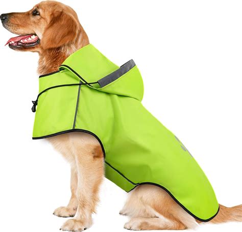 Green Dog Raincoat