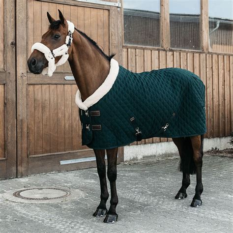 green fleece rug horse