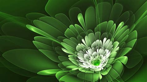 Green Flower Backgrounds