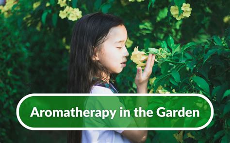 Green Garden Aromatherapy