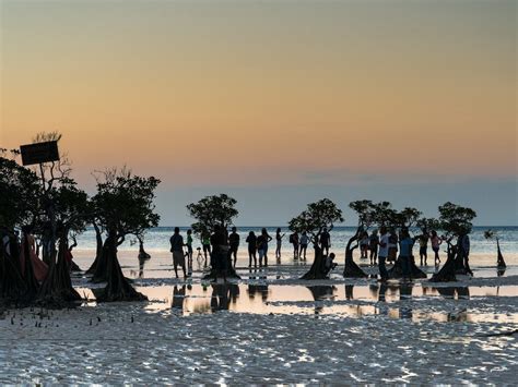 green growth in indonesia