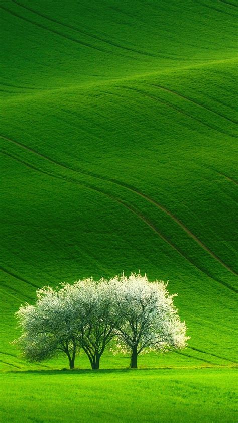 Green Hd Wallpaper For Android
