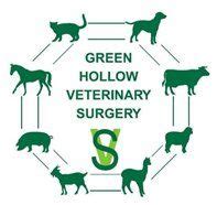 green hollow veterinary surgery