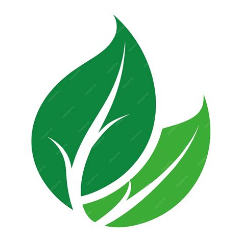 Green Logo Design