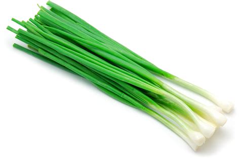 Green Onions For Teething