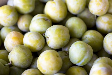 Green Plums Synonym