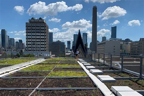 green roof research program