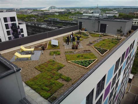 Green Rooftop Purpose