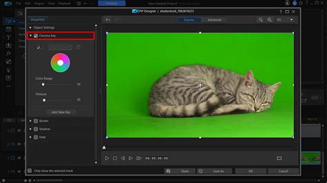 Green Screen Photo Editor