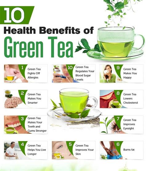 green tea camellia sinensis benefits