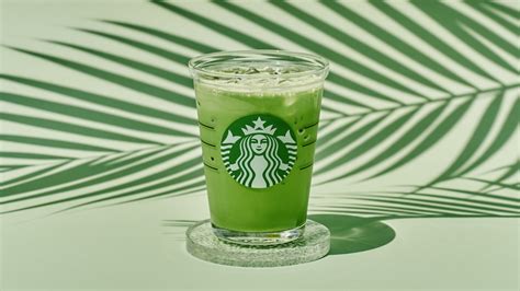 Green Tea Extract Starbucks