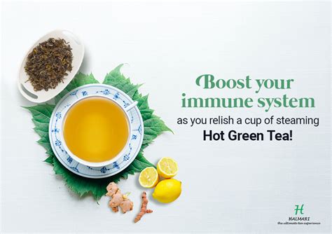 green tea for immunity
