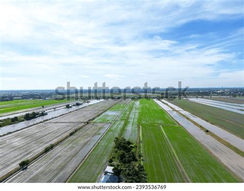 Transform Your Land with Greenfield Farming: Unleash Sustainable Growth Potential