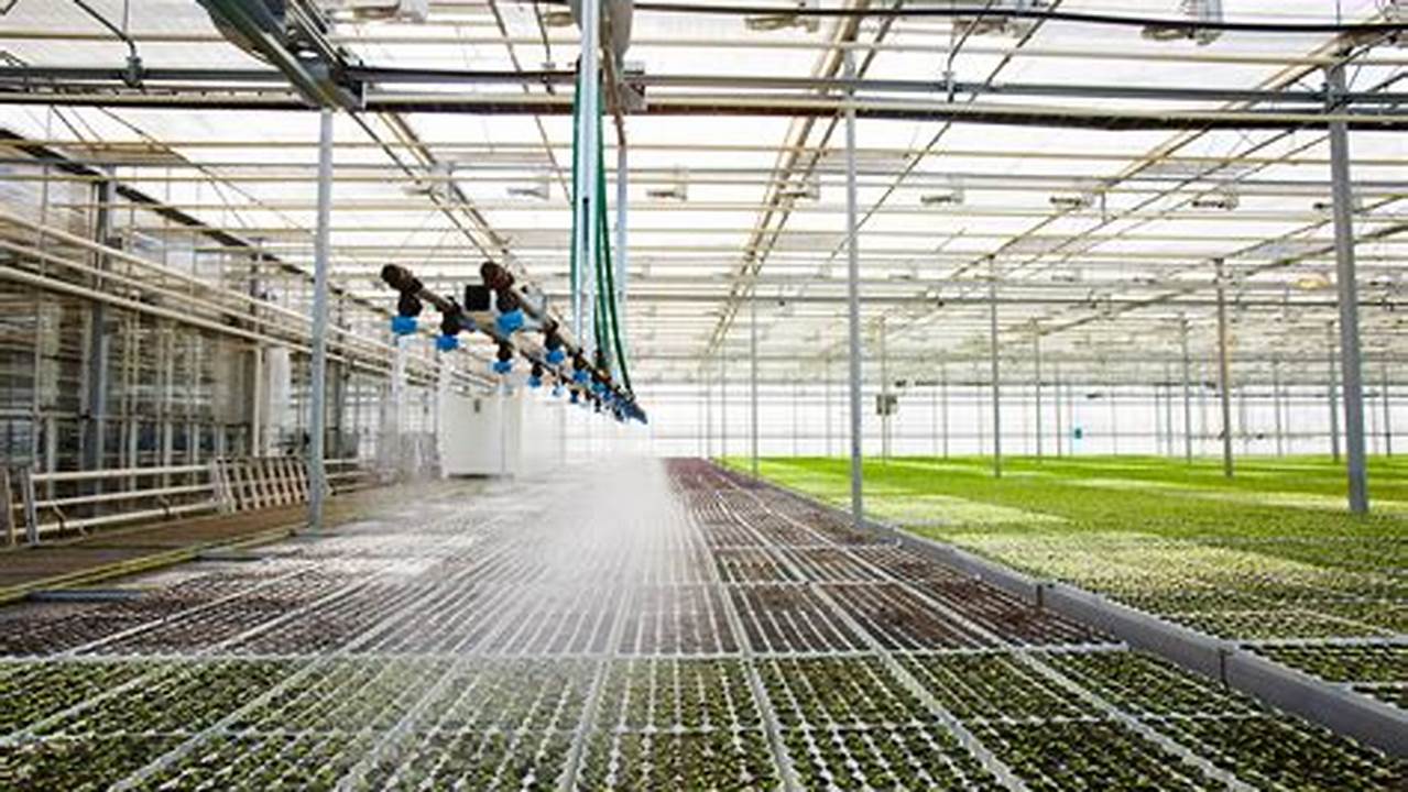 Unveiling the Secrets to Effortless Greenhouse Watering