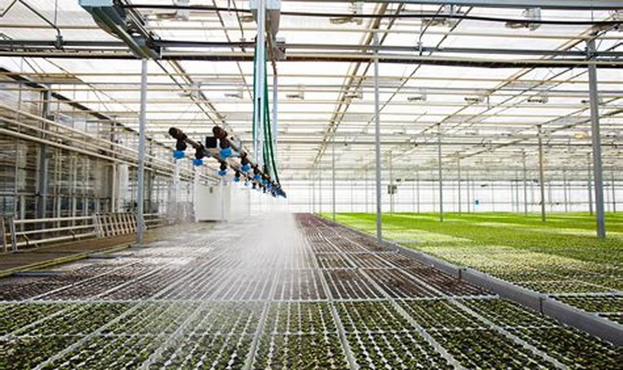 Unveiling the Secrets to Effortless Greenhouse Watering