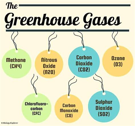 Greenhouse Gas Examples