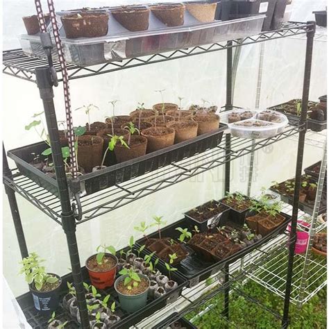 Greenhouse Wire Rack