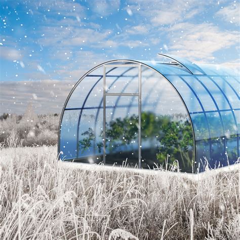 Four Types of Small Winter Greenhouse Sustainable Planting